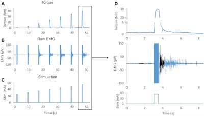 Optimizing Neuromuscular Electrical Stimulation Pulse Width and Amplitude to Promote Central Activation in Individuals With Severe Spinal Cord Injury